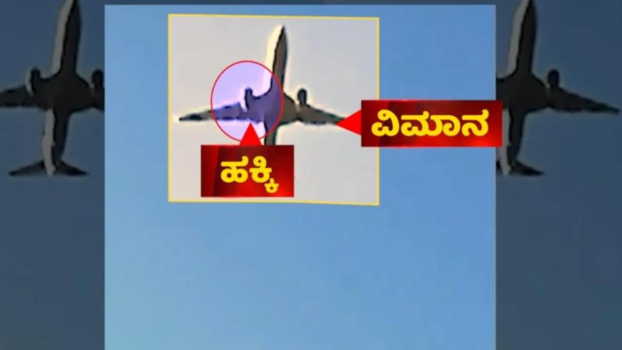 181 ಮಂದಿಯಲ್ಲಿ ಬದುಕಿದ್ದು ಇಬ್ಬರು ಮಾತ್ರ! ಪ್ರಜ್ಞೆ ಬರ್ತಿದ್ದಂತೆ ವೈದ್ಯರಿಗೇ ಗಾಯಾಳು ಆಘಾತಕಾರಿ ಪ್ರಶ್ನೆ