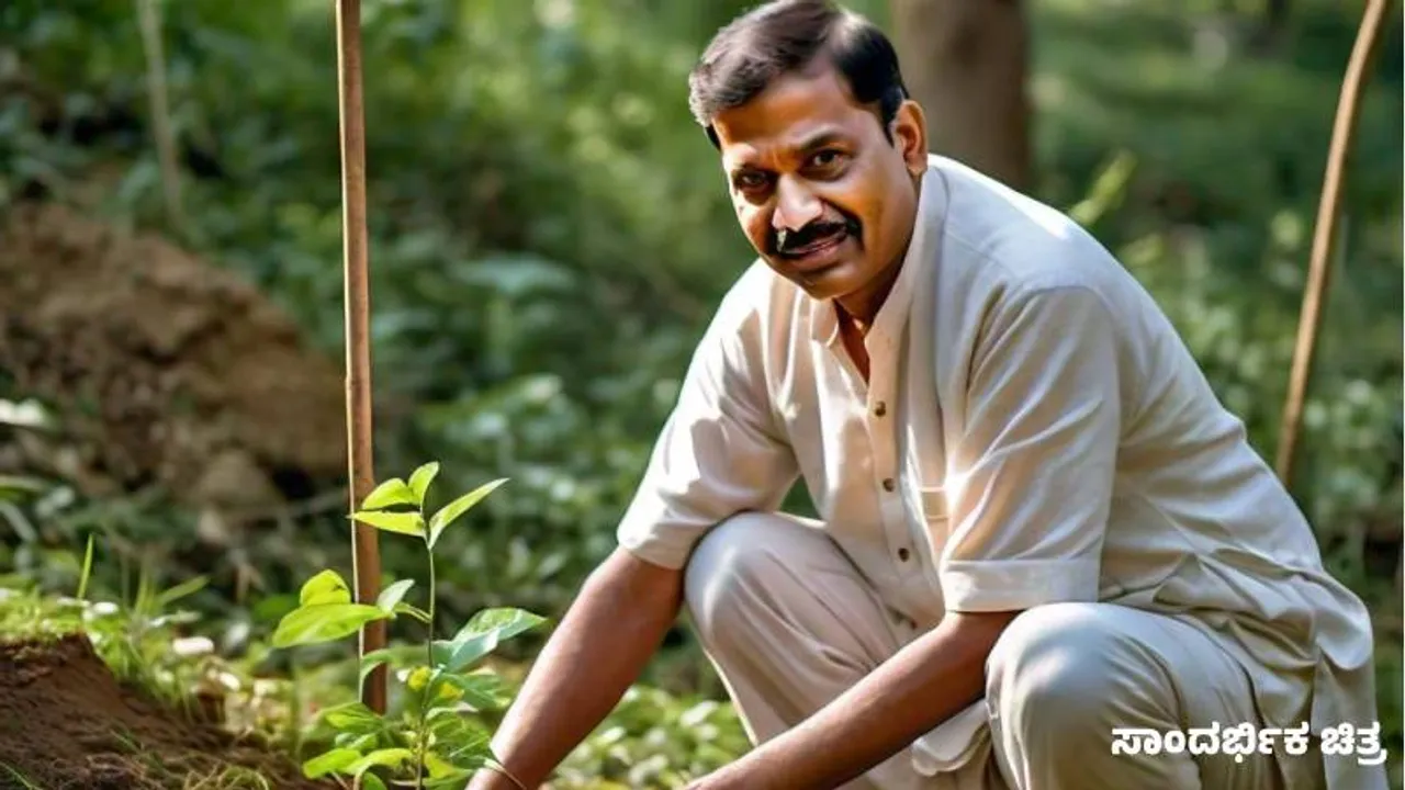 ತಿಂಗಳಿಗೆ 50 ಗಿಡ ನೆಟ್ಟು 4 ಅಡಿ ಬೆಳೆಸಿ.. ತಪ್ಪು ಮಾಡಿದ್ದಕ್ಕೆ ಹೈಕೋರ್ಟ್‌ ಮಹತ್ವದ ಆದೇಶ; ಕಾರಣವೇನು?