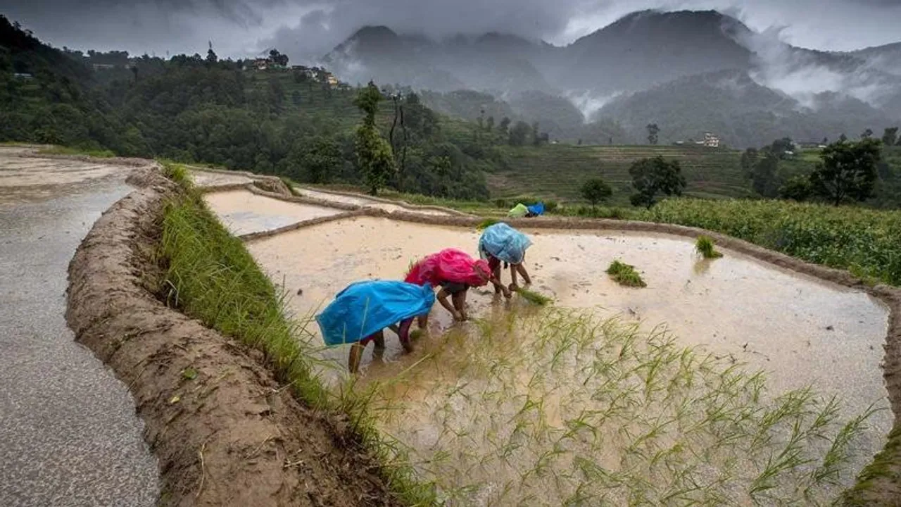 Budget 2025: ಈ ಬಾರಿ ರೈತರಿಗೆ ಗುಡ್‌ ನ್ಯೂಸ್ ಕೊಡ್ತಾರಾ ನಿರ್ಮಲಾ ಸೀತಾರಾಮನ್? ನಿರೀಕ್ಷೆಗಳ ಪಟ್ಟಿ ಇಲ್ಲಿದೆ!