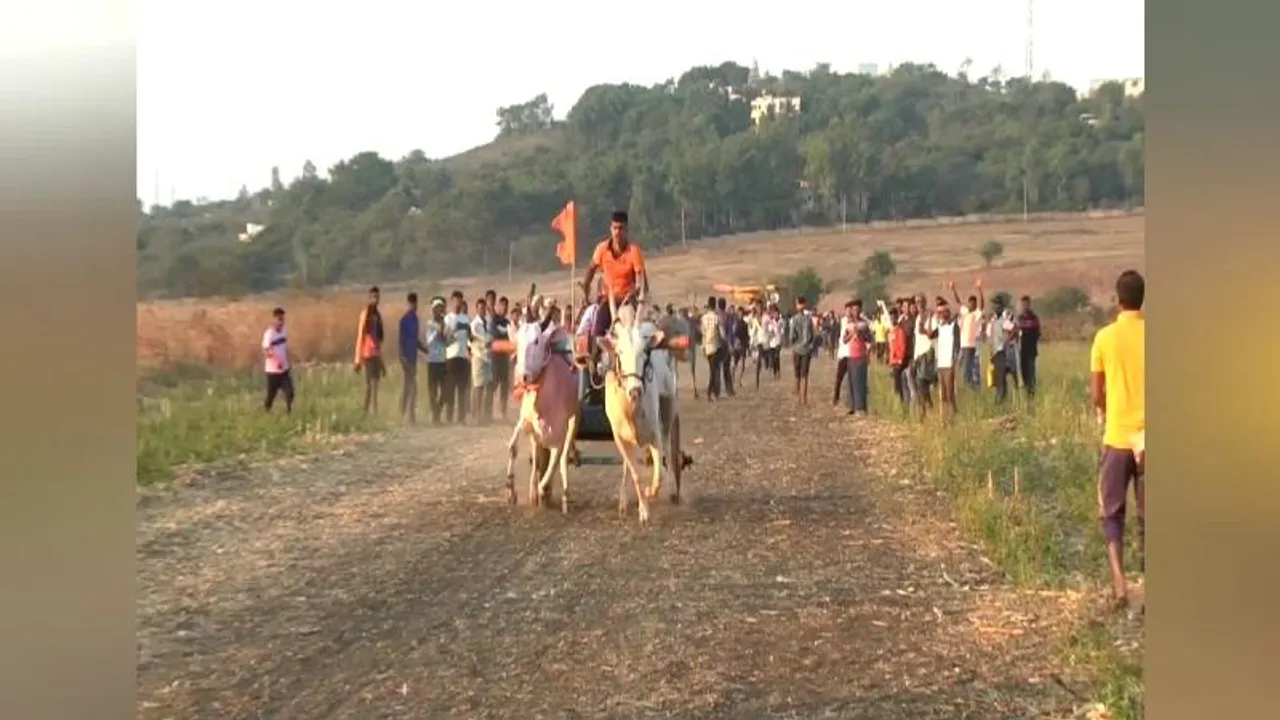 ಹಾವೇರಿಯಲ್ಲಿ ರಾಜ್ಯಮಟ್ಟದ ಬಂಡಿ ಓಡಿಸೋ ಸ್ಪರ್ಧೆ; ಪೊಗರದಸ್ತು ಎತ್ತುಗಳ ರೇಸ್ ಹೇಗಿತ್ತು?