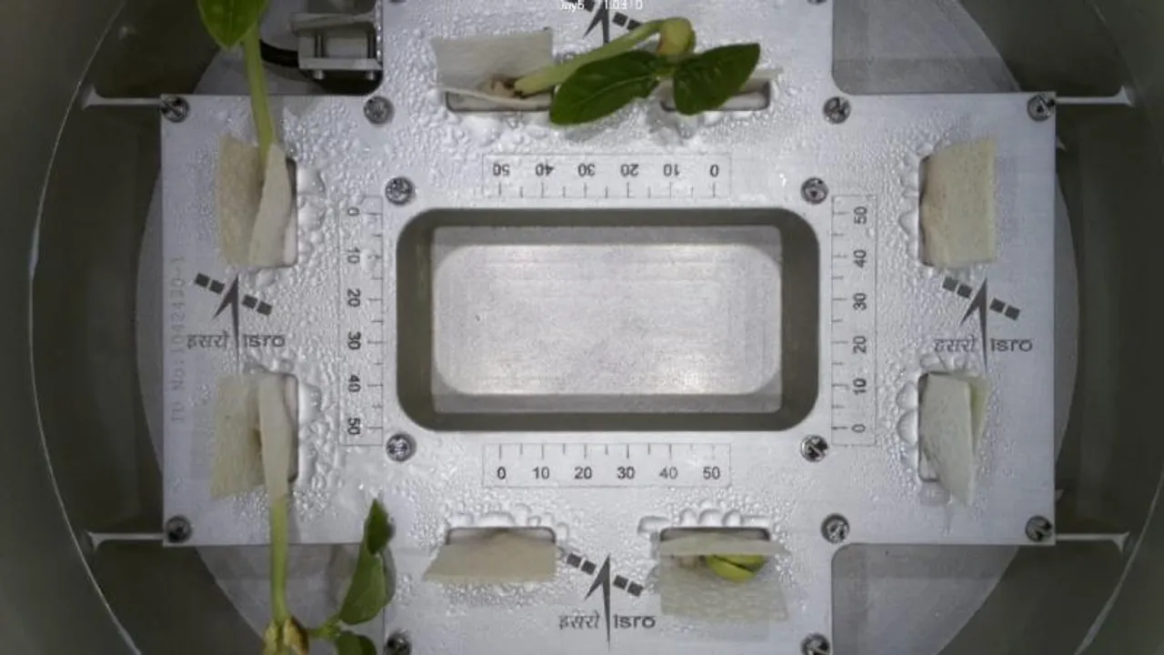 ಬಾಹ್ಯಾಕಾಶದಲ್ಲಿ ಚಿಗುರಿದ 8 ಅಲಸಂದೆ ಗಿಡ.. ವಿಡಿಯೋ ರಿಲೀಸ್ ಮಾಡಿದ ಇಸ್ರೋ; ಏನಿದರ ವಿಶೇಷ?