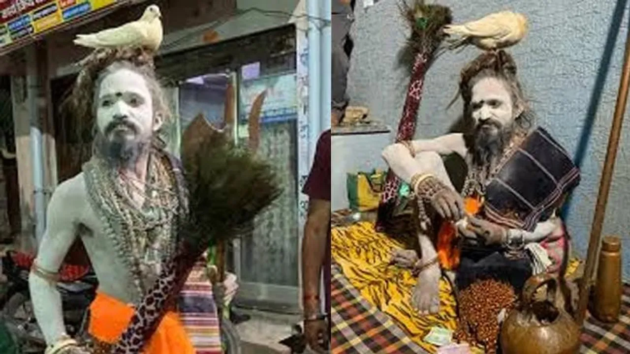 ಮಹಾಕುಂಭದಲ್ಲಿ ಪಾರಿವಾಳ ಬಾಬಾ.. ಇವರ ತಲೆ ಬಿಟ್ಟು ಎಲ್ಲಿಯೂ ಹೋಗಲ್ಲ ಈ ಹಕ್ಕಿ..!