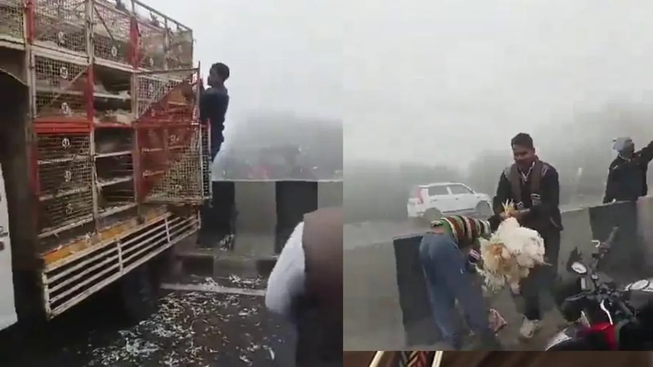 ಕೈಗೆ ಸಿಕ್ಕಿದ್ದೇ ಸೀರುಂಡೆ.. ಹೆದ್ದಾರಿಯಲ್ಲಿ ಕೋಳಿ ಲೂಟಿ ಹೊಡೆದು ಜೂಟ್ ಹೇಳಿದ ಜನರು; ವಿಡಿಯೋ ಇಲ್ಲಿದೆ ನೋಡಿ!