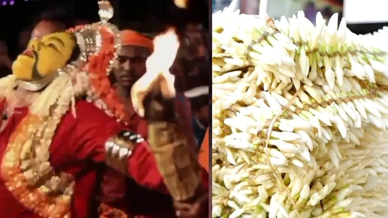 ಉಡುಪಿ, ಮಂಗಳೂರಲ್ಲಿ ‘ಶಂಕರಪುರ ಮಲ್ಲಿಗೆ’ ಭಾರೀ ಡಿಮ್ಯಾಂಡ್.. ಒಂದು ಕೆಜಿ ಬೆಲೆ ಎಷ್ಟು..?