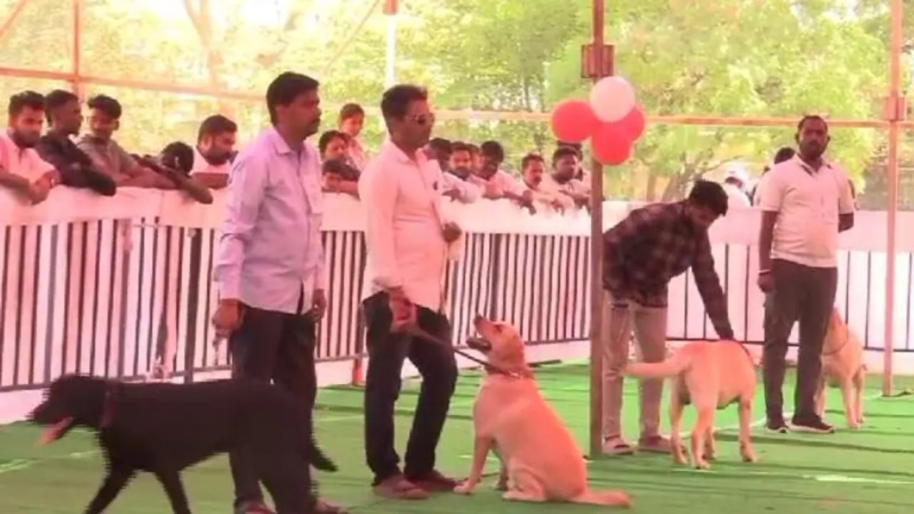 ಗುಮ್ಮಟ ನಗರಿಯಲ್ಲಿ ಶ್ವಾನಗಳ ಪರೇಡ್​.. 21ಕ್ಕೂ ಹೆಚ್ಚು ತಳಿಗಳು ಭಾಗಿ