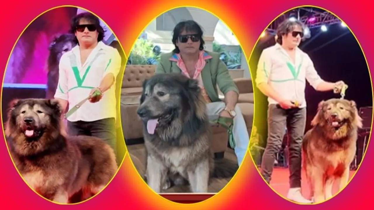 50 ಕೋಟಿ ರೂಪಾಯಿ ನಾಯಿ ಮಾಲೀಕನಿಗೆ ಬಿಗ್ ಶಾಕ್​.. ಲಾಕ್ ಮಾಡಿದ ED; ಅಸಲಿಗೆ ಏನಾಯಿತು?