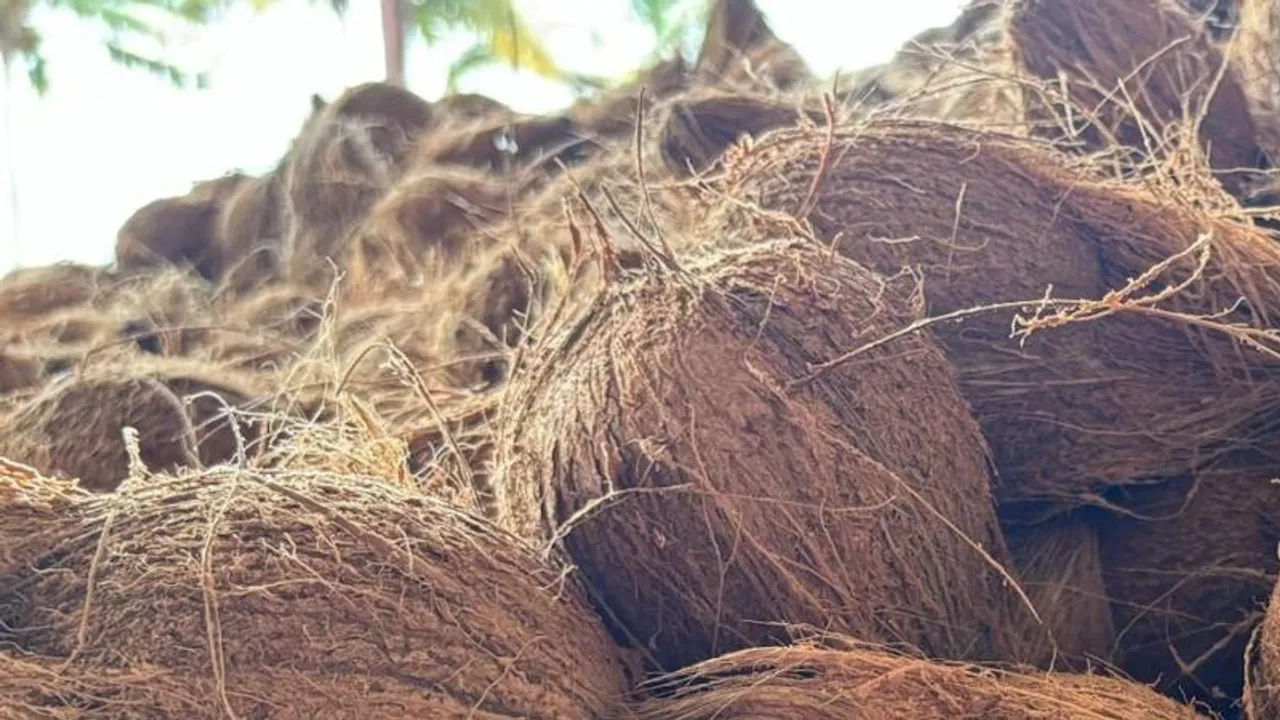 ಅಡುಗೆ ಪ್ರಿಯರಿಗೆ ಶಾಕಿಂಗ್​ ನ್ಯೂಸ್​.. ಬೆಂಗಳೂರಲ್ಲಿ ತೆಂಗಿನ ಕಾಯಿ ಬೆಲೆಯಲ್ಲಿ ಭಾರೀ ಏರಿಕೆ!