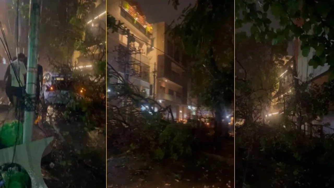 ಸಿಲಿಕಾನ್ ಸಿಟಿಯಲ್ಲಿ ಭಾರೀ ಮಳೆ.. ನಗರದಲ್ಲಿ ಧರೆಗುರುಳಿದ ಮರಗಳು, ಸಂಚಾರ ಅಸ್ತವ್ಯಸ್ತ