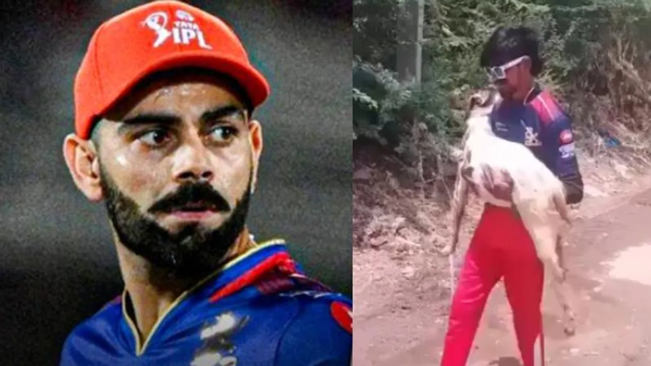 ಕೊಹ್ಲಿ ಪೋಸ್ಟರ್​ಗೆ ಮೇಕೆ ಕಡಿದು ರಕ್ತಾಭಿಷೇಕ.. CSK ವಿರುದ್ಧ RCB ಗೆಲ್ತಿದ್ದಂತೆ ಅಂಧಾಭಿಮಾನ..!