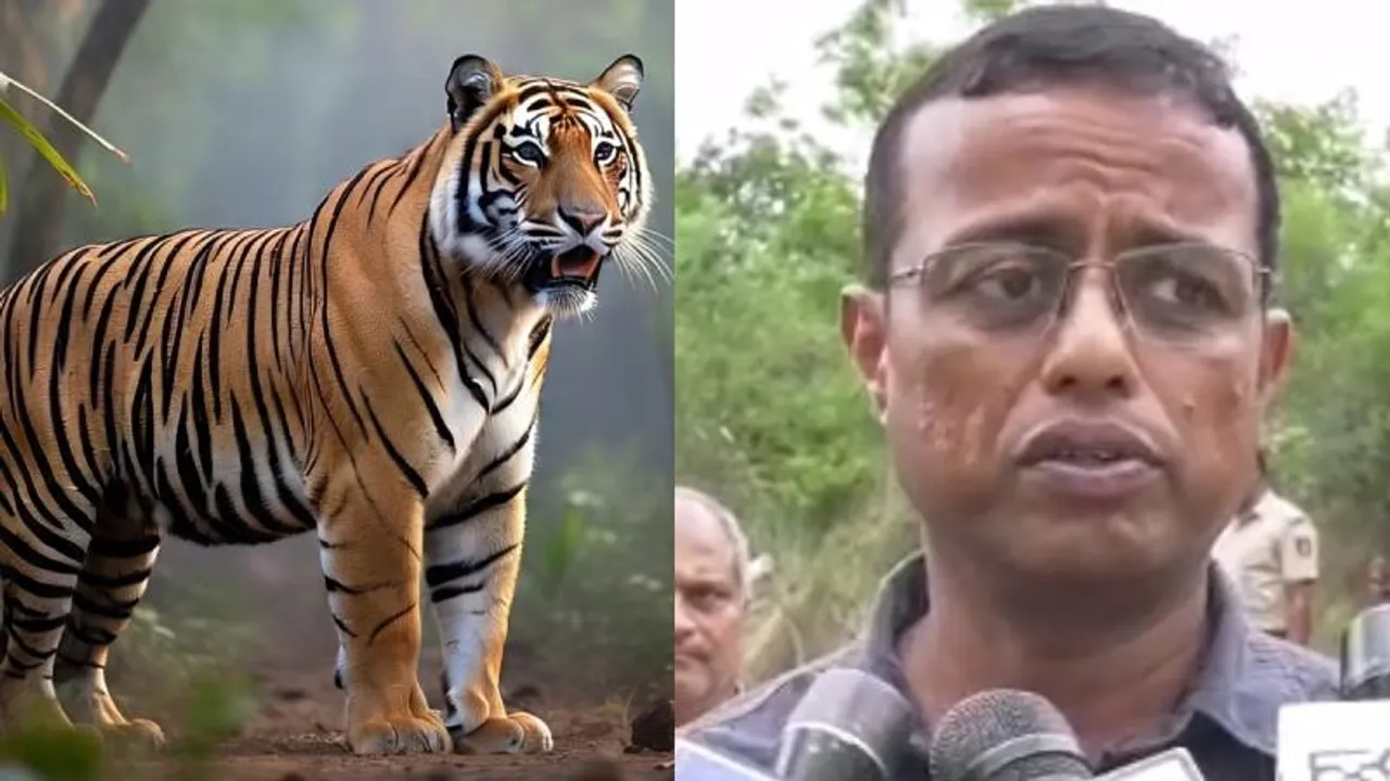 5 ಹುಲಿಗಳ ದುರಂತ ಅಂತ್ಯ ಕೇಸ್​​ಗೆ ಟ್ವಿಸ್ಟ್; ಪಕ್ಕದಲ್ಲೇ ಬಿದ್ದಿದೆ ಹಸುವಿನ ಕಳೆಬರ ಎಂದ ಅರಣ್ಯಾಧಿಕಾರಿ