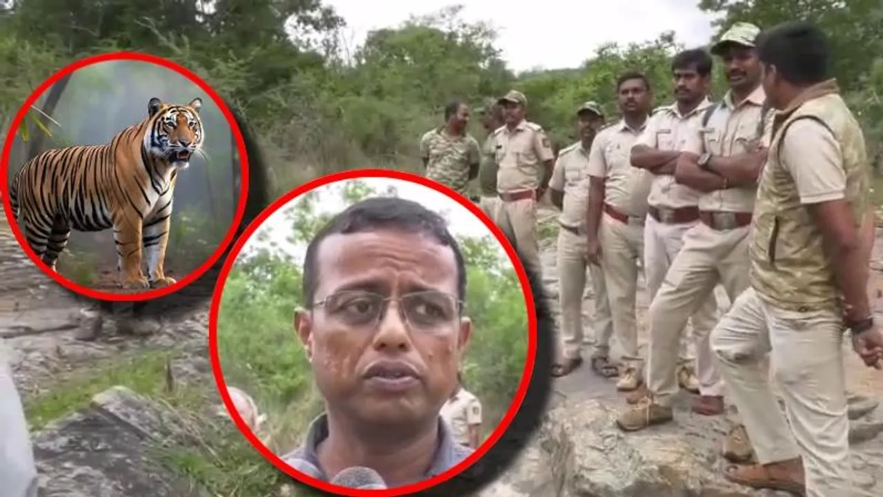 ಐದು ಹುಲಿಗಳ ಮಾರಣಹೋಮ ಕೇಸ್​​.. ಮೂವರು ಅಧಿಕಾರಿಗಳ ತಲೆದಂಡ..!