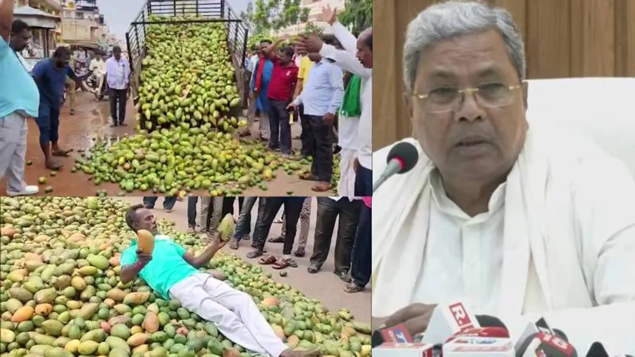 ಕರ್ನಾಟಕ ತೋತಾಪುರಿ ಮಾವಿಗೆ ನಿರ್ಬಂಧ; ಆಂಧ್ರ ಸಿಎಂ ಚಂದ್ರಬಾಬು ನಾಯ್ಡುಗೆ ಸಿದ್ದರಾಮಯ್ಯ ಪತ್ರ