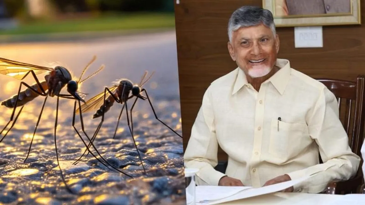 ಇನ್ಮುಂದೆ ಸೊಳ್ಳೆಗಳ ಕಾಟ ಇರಲ್ಲ! ಆಂಧ್ರದಲ್ಲಿ ಸೊಳ್ಳೆಗಳ ಮೇಲೆ ನಿಗಾ ಇಡಲು AI ಬಳಕೆ..!