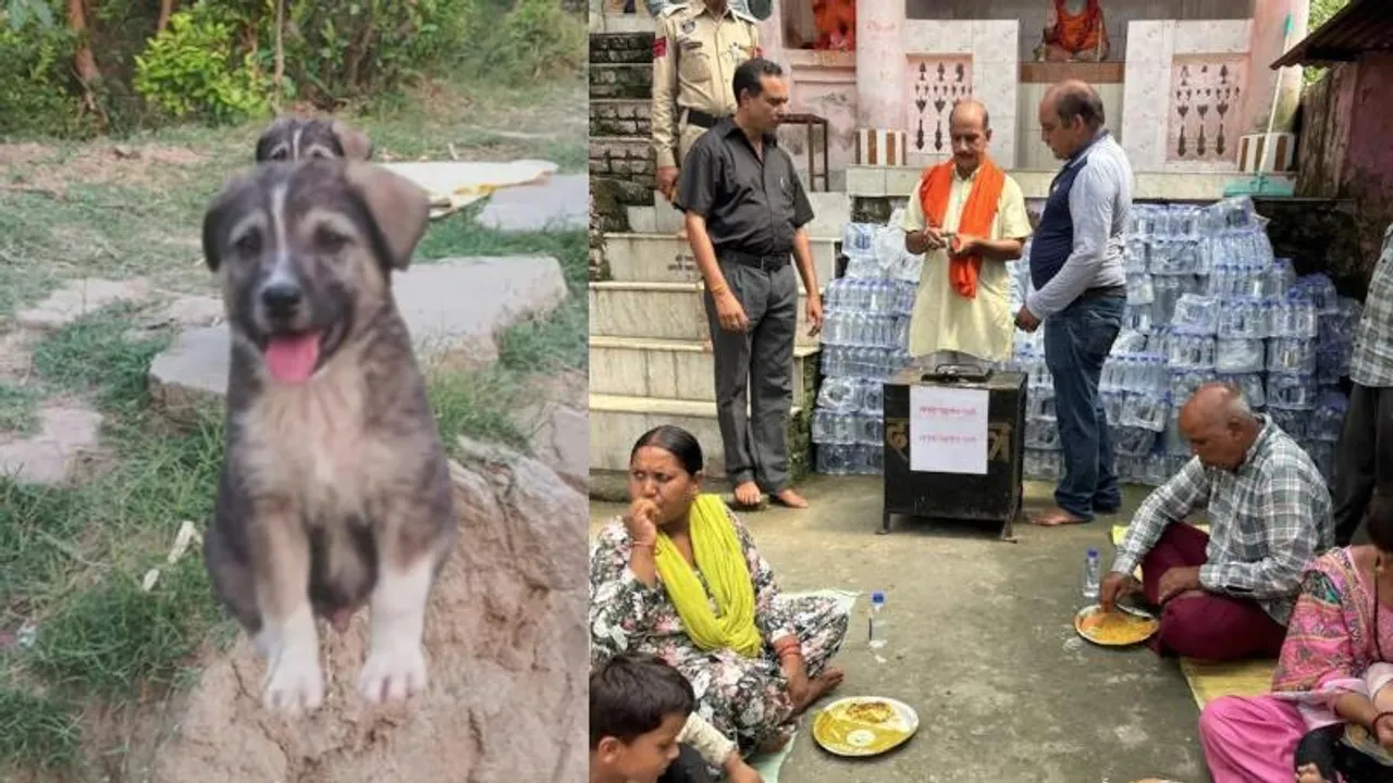 ಮಧ್ಯರಾತ್ರಿ 1 ಗಂಟೆ.. ಮಹಾ ದುರಂತದಿಂದ 67 ಮಂದಿಯ ಪ್ರಾಣ ಉಳಿಸಿದ ಶ್ವಾನ..!