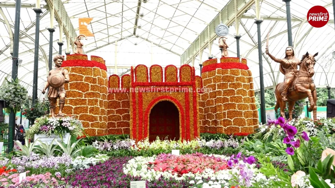 News Gallery