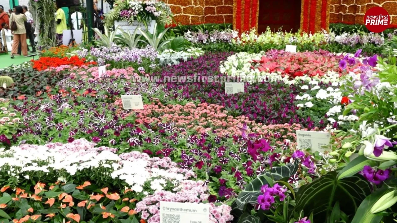 News Gallery