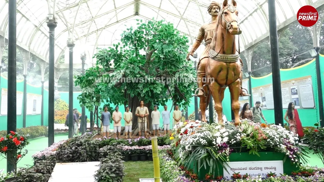 News Gallery