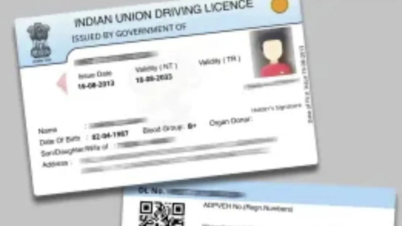 DRIVING LICENSE NEW