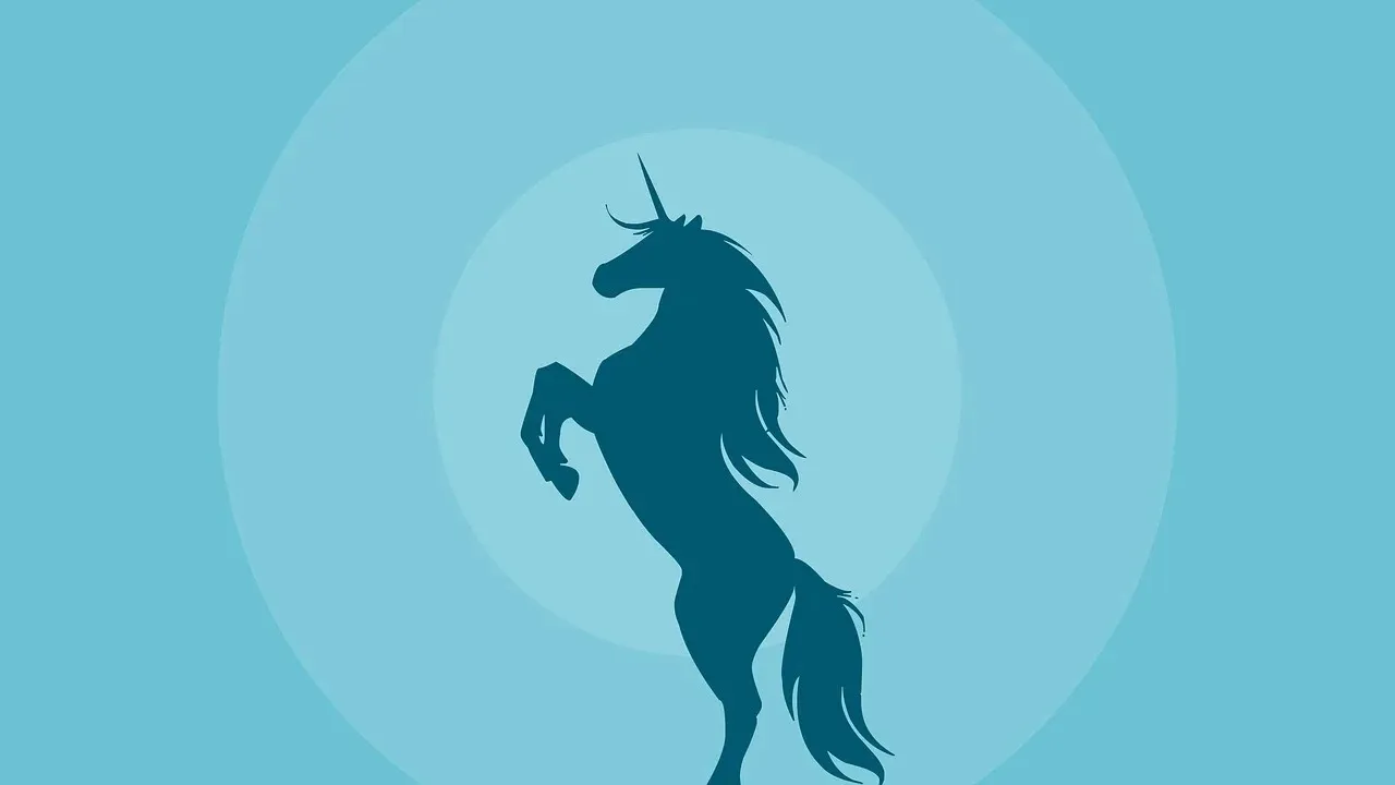 Startup Unicorns