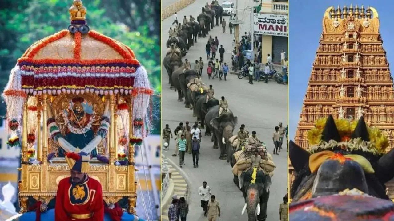 mysuru-dasara-2025 ELEPHANTS