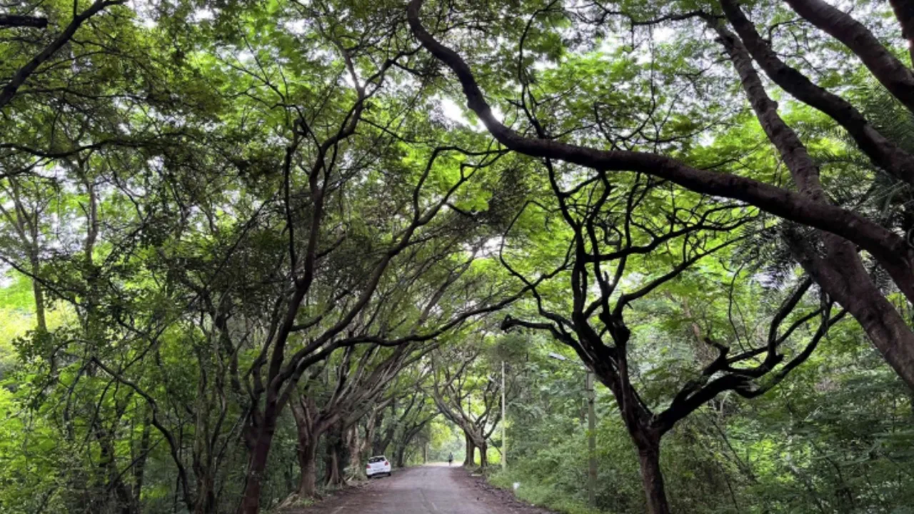 JNANABHARATI CAMPUS