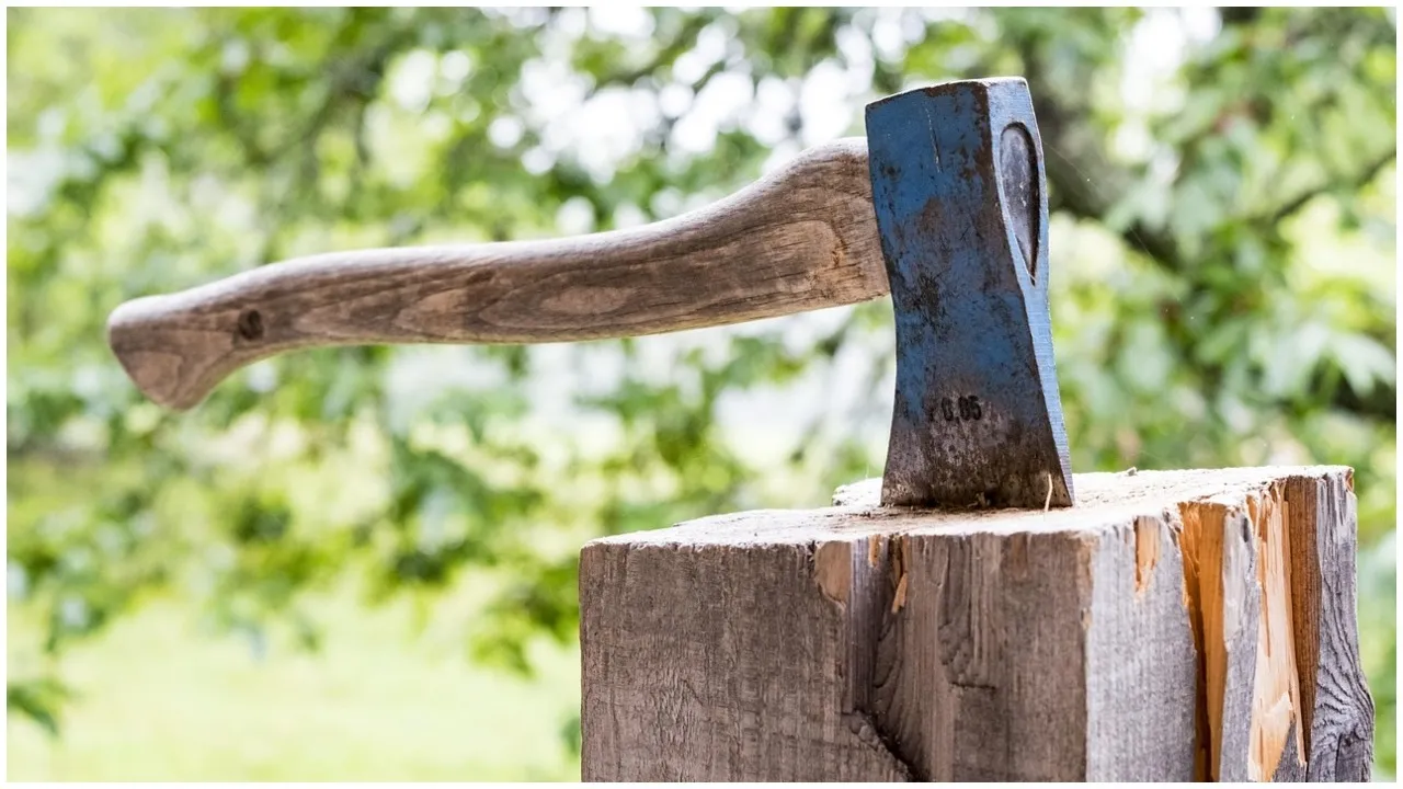 Tree felling
