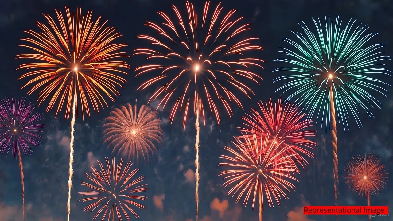 FIRECRACKER BAN