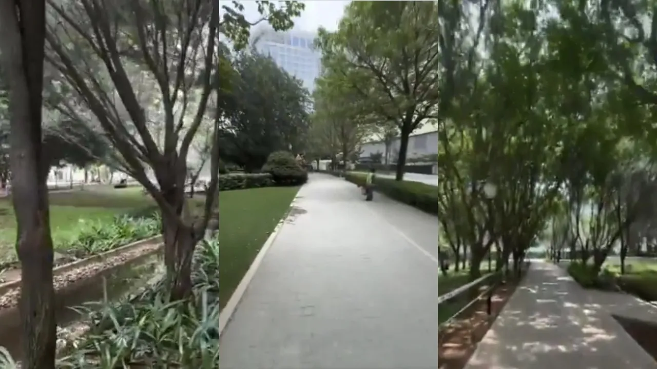 bhartiya city bengaluru viral post