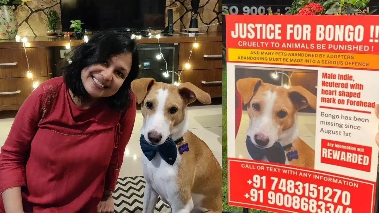 dog-accused-1-2025-12-07-18-13-14