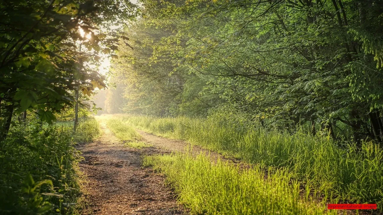 railway-cantonment-tree-plan-bmc-opposes-1-2025-08-07-11-43-03 (1)