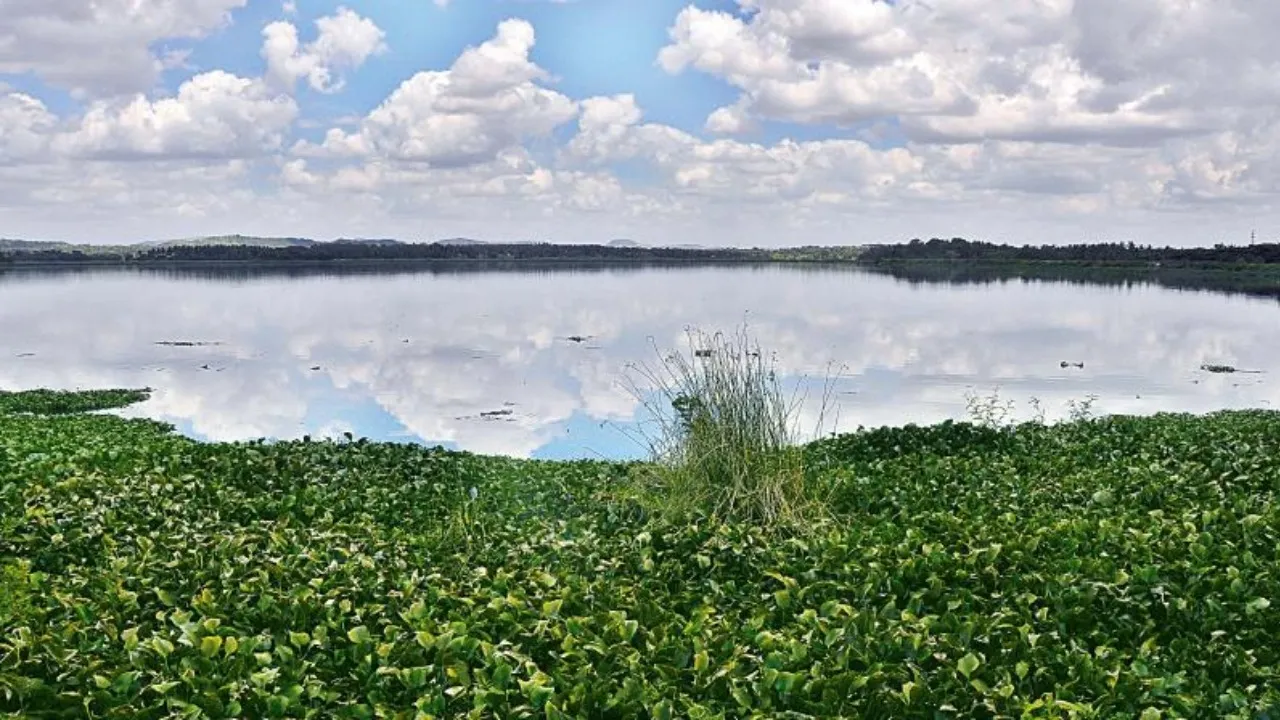 byramangala lake bengaluru