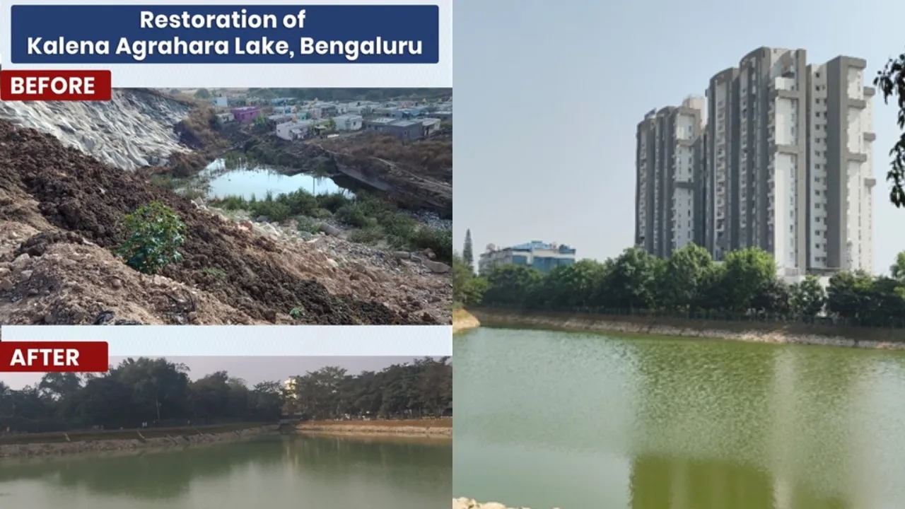 kalena agrhara lake revival bengaluru