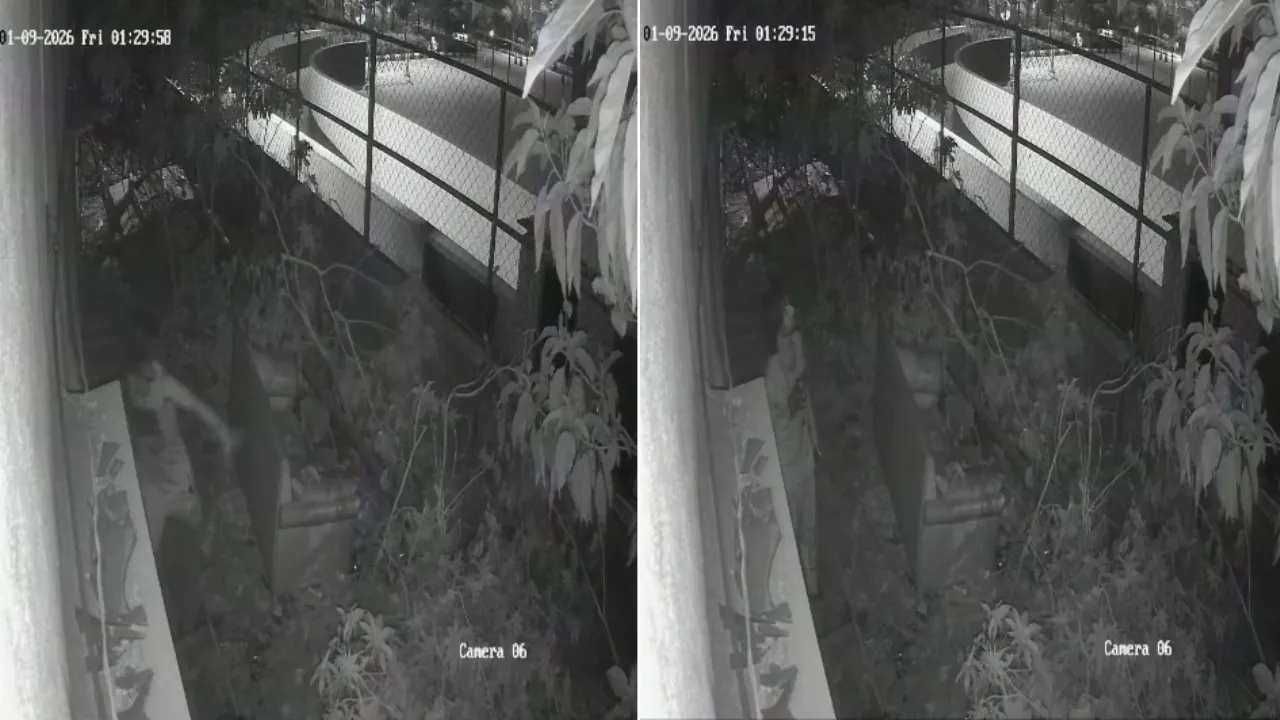 bengaluru puppy story