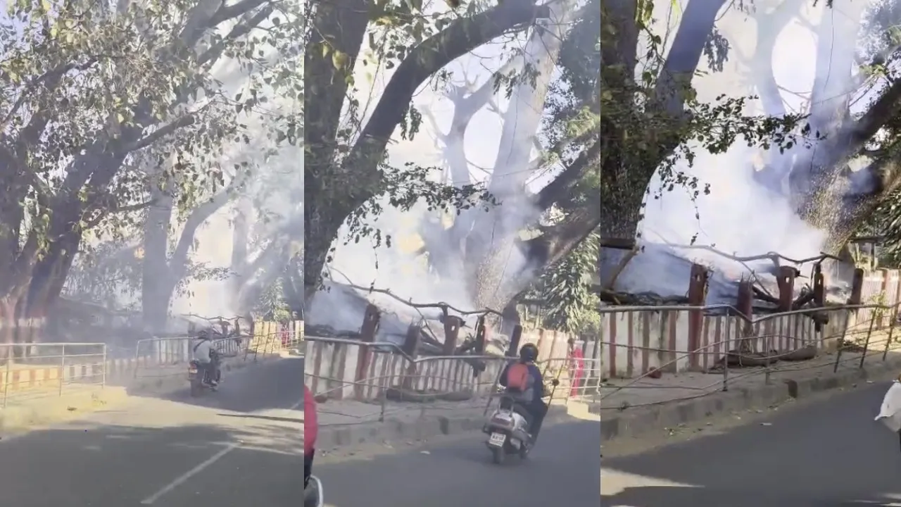 bengaluru gba dry twigs