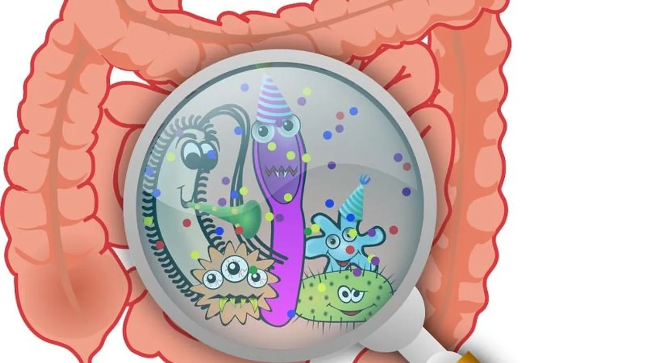 <strong>Intestinal cancer, a rare cancer increasingly becoming common in people in Bengaluru</strong>