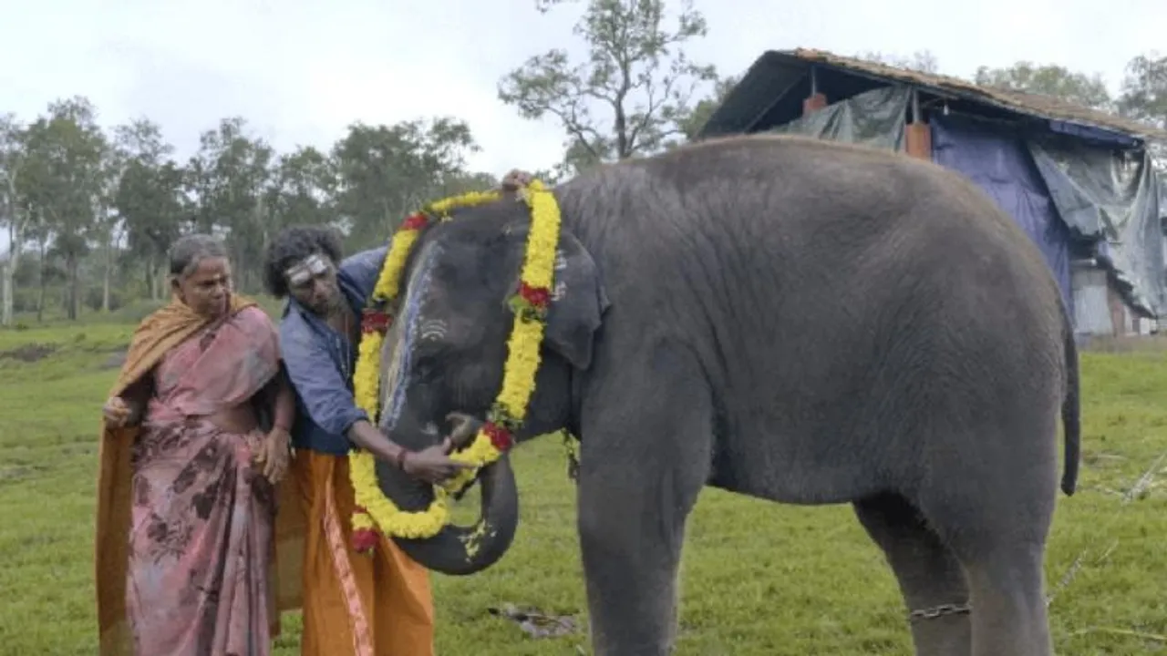 ‘Elephant Whisperers’ makers served legal notice by mahout couple for not keeping up promises 