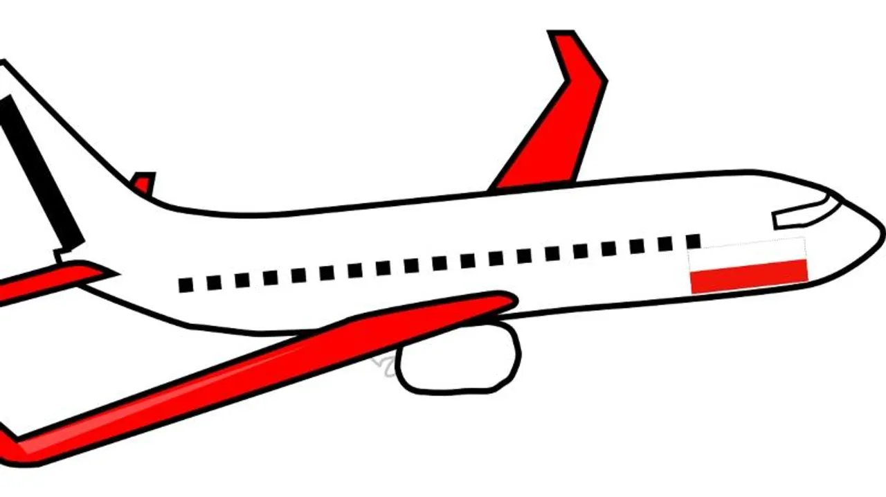 Doctors onboard Bengaluru-Delhi flight miraculously save baby girl