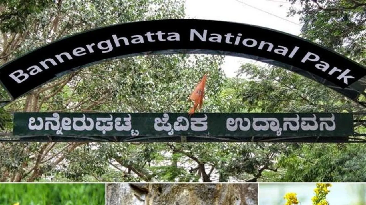 16 deer tragically die at Bannerghatta Biological Park; zoos in state put on high alert