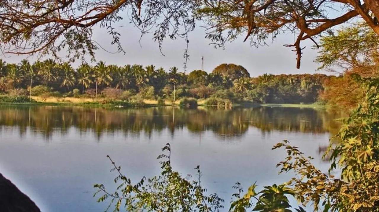 Bengaluru: NGT raises concerns over pollution of lakes, censures KSPCB for inaction