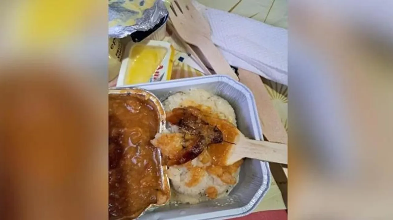 In a shocking incident, Bengaluru flyer finds cockroach in Air India meal