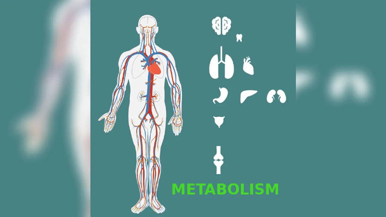 Over 40 and worried about slow metabolism? Here are ways to boost the process