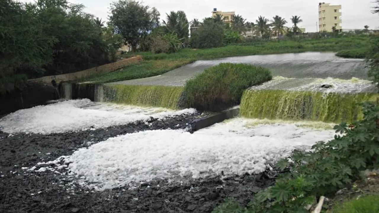 Bengaluru: Research indicates Bellandur and Jakkur lakes require better wastewater treatment