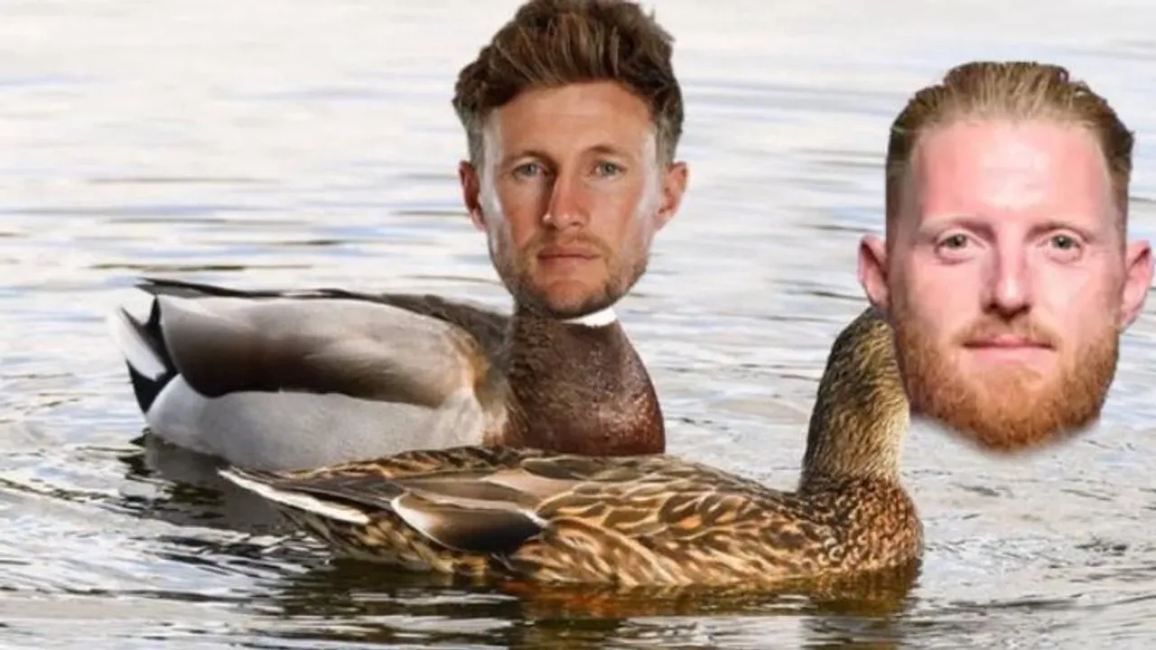 CWC 2023: Barmy Army’s trolling attempt backfires