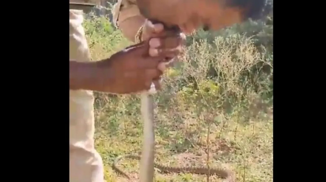 Madhya Pradesh: Police constable gives mouth-to-mouth resuscitation to snake,  saves its life
