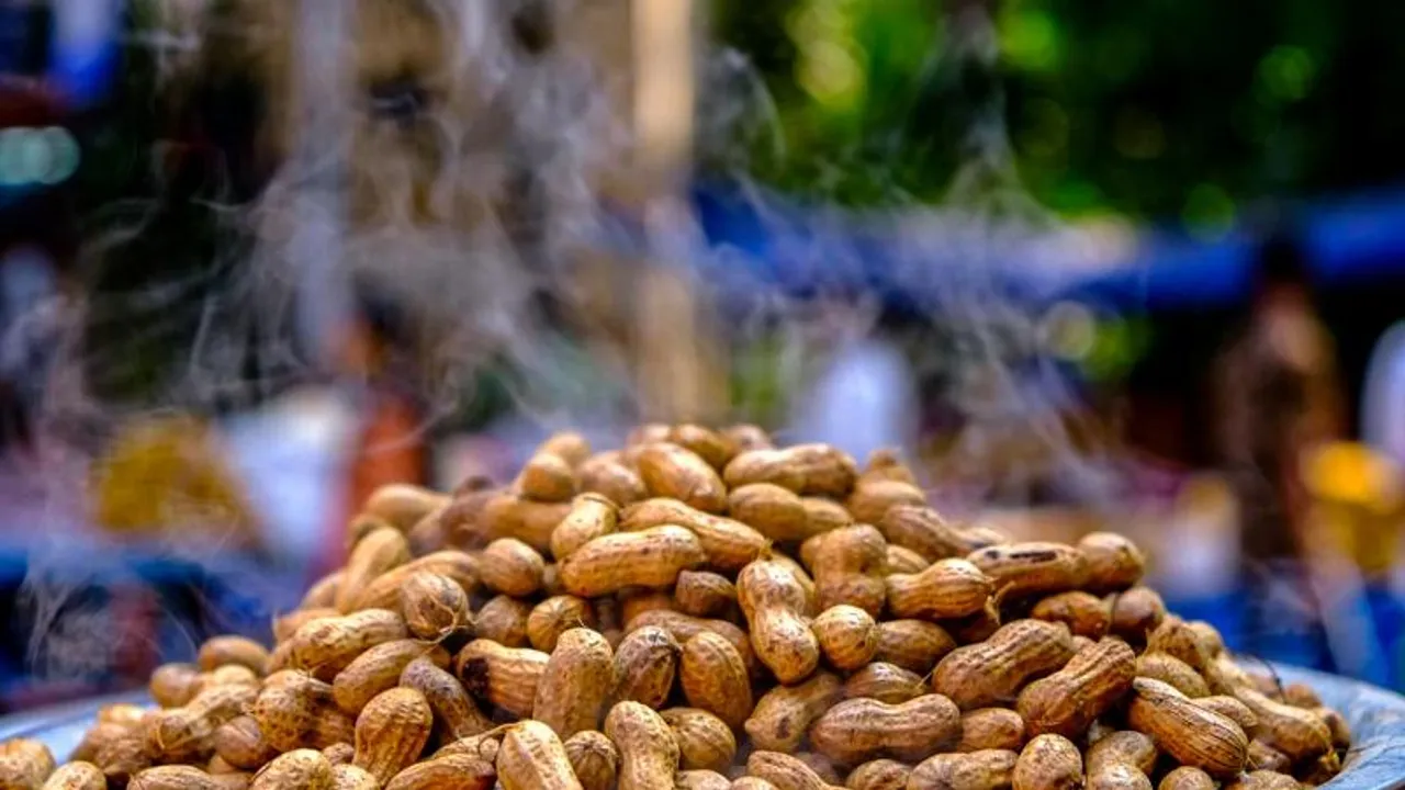 Bengaluru: Basavanagudi residents approach police seeking ban on ‘tutturi’ during Kadalekai Parishe