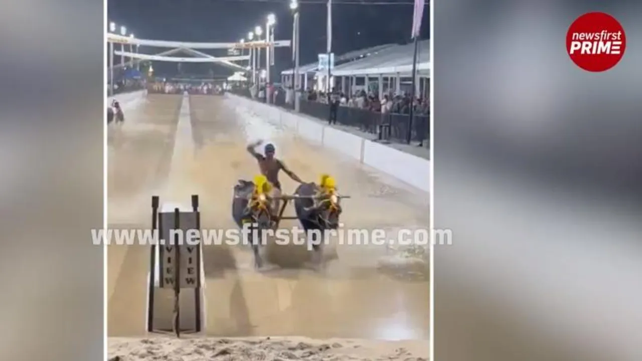 Bengaluru Kambala impresses and leaves people wanting for more!