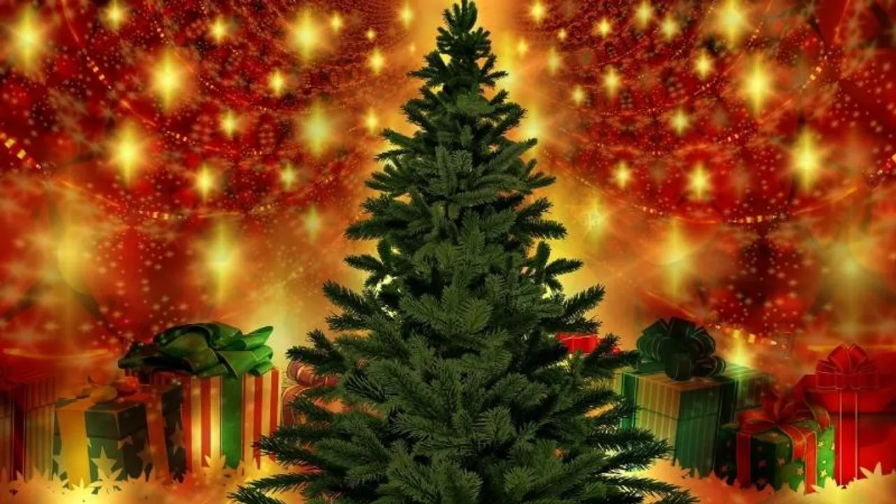 Bengaluru: Phoenix Mall of Asia to unveil India's tallest Christmas tree