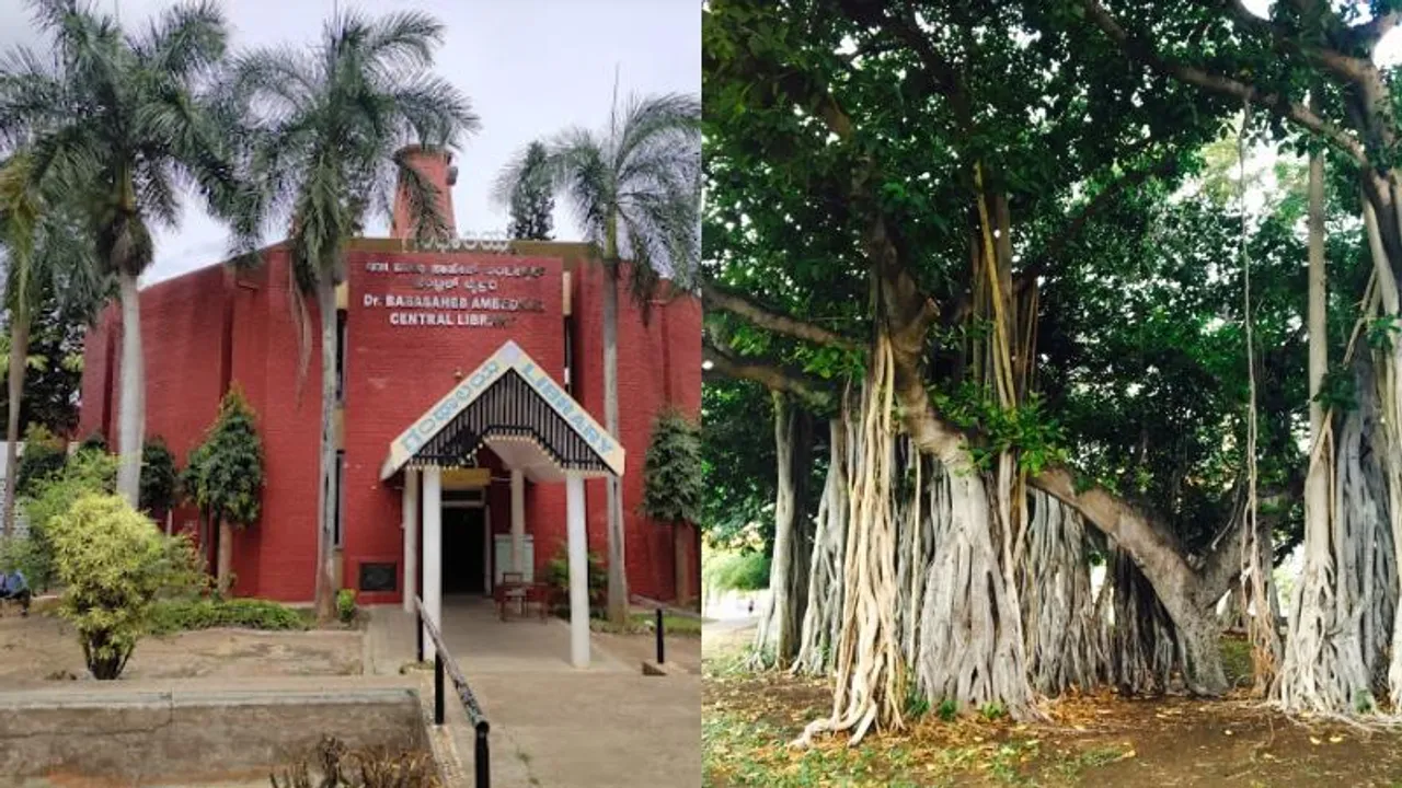 Bengaluru to soon get ‘Hanging Library’ inspired by the Banyan Tree
