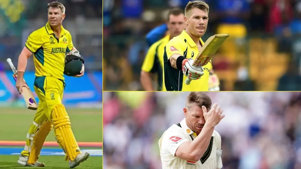 How did David Warner gain so many Indian fans?