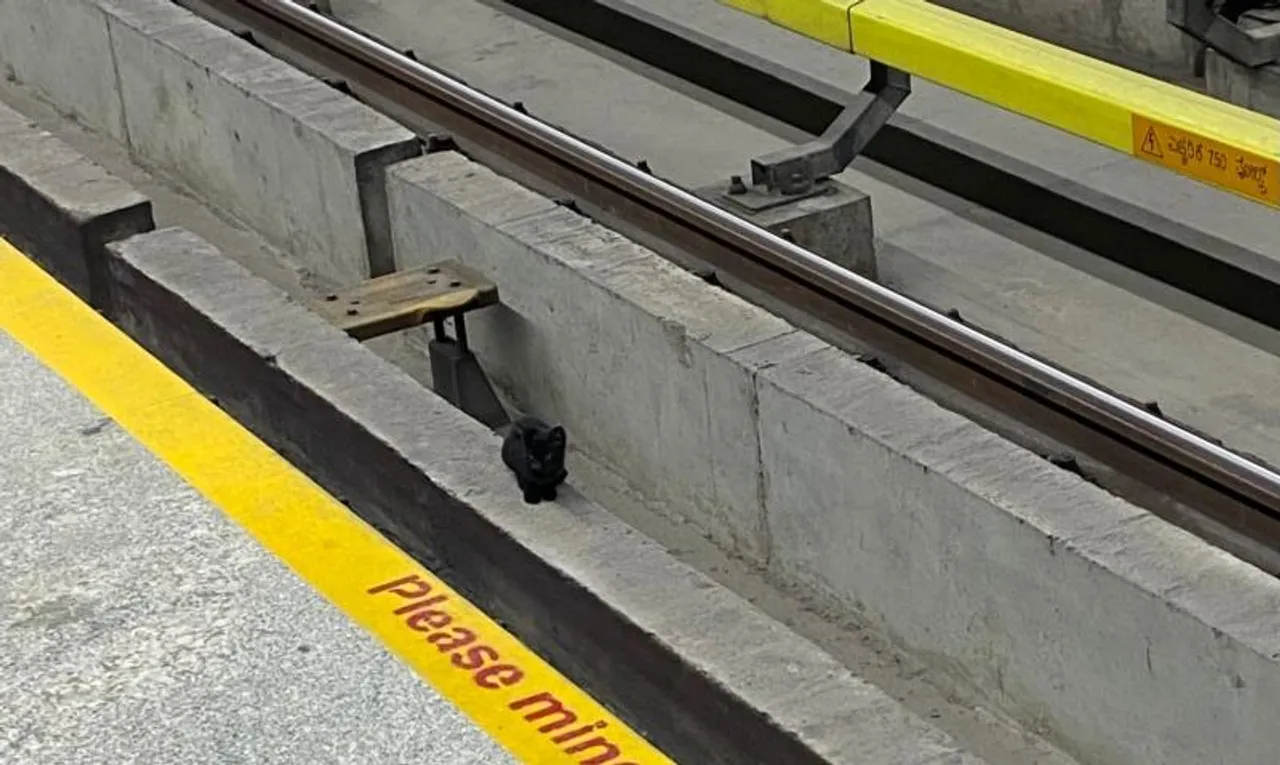 Bengaluru: High time Namma Metro authorities devised ways to thwart reputation-demolishing incidents on tracks
